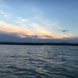 The importance of taking decisions