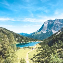 Paradise Is A Feeling